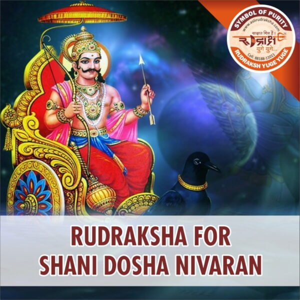 https://aslirudraksha.com/