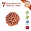https://aslirudraksha.com/