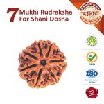 Rudraksha for Shanil Dosha Asli Rudraksha 02 https://aslirudraksha.com/