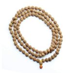 https://aslirudraksha.com/