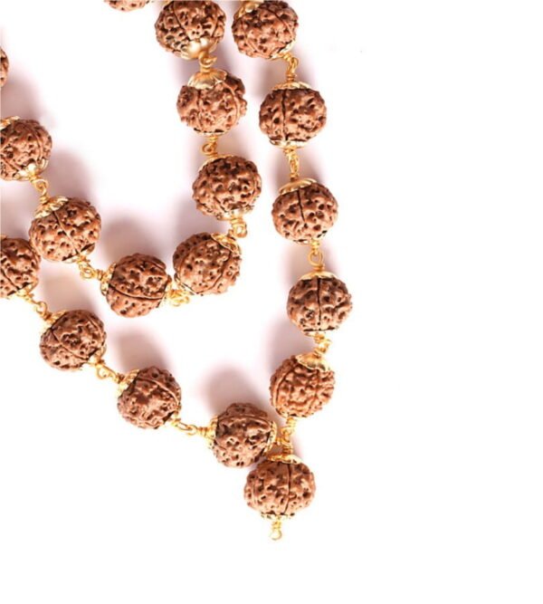 aslirudraksha.com